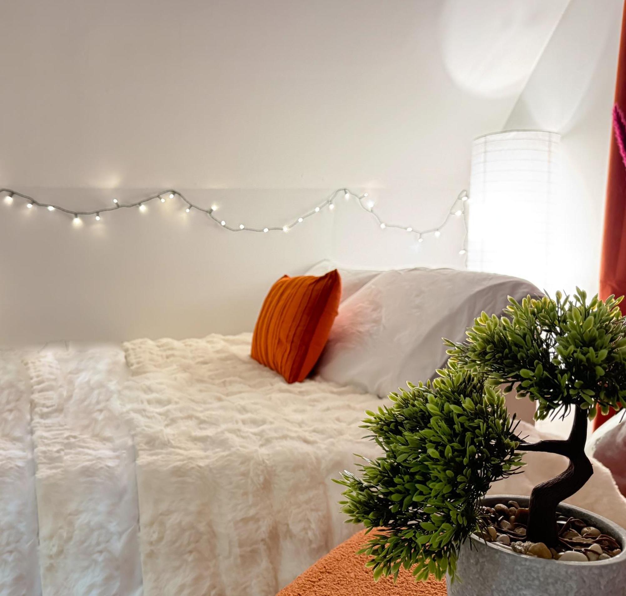 La Douceur - Hypercentre Pieton De Troyes - Cozy Apartment Exterior photo